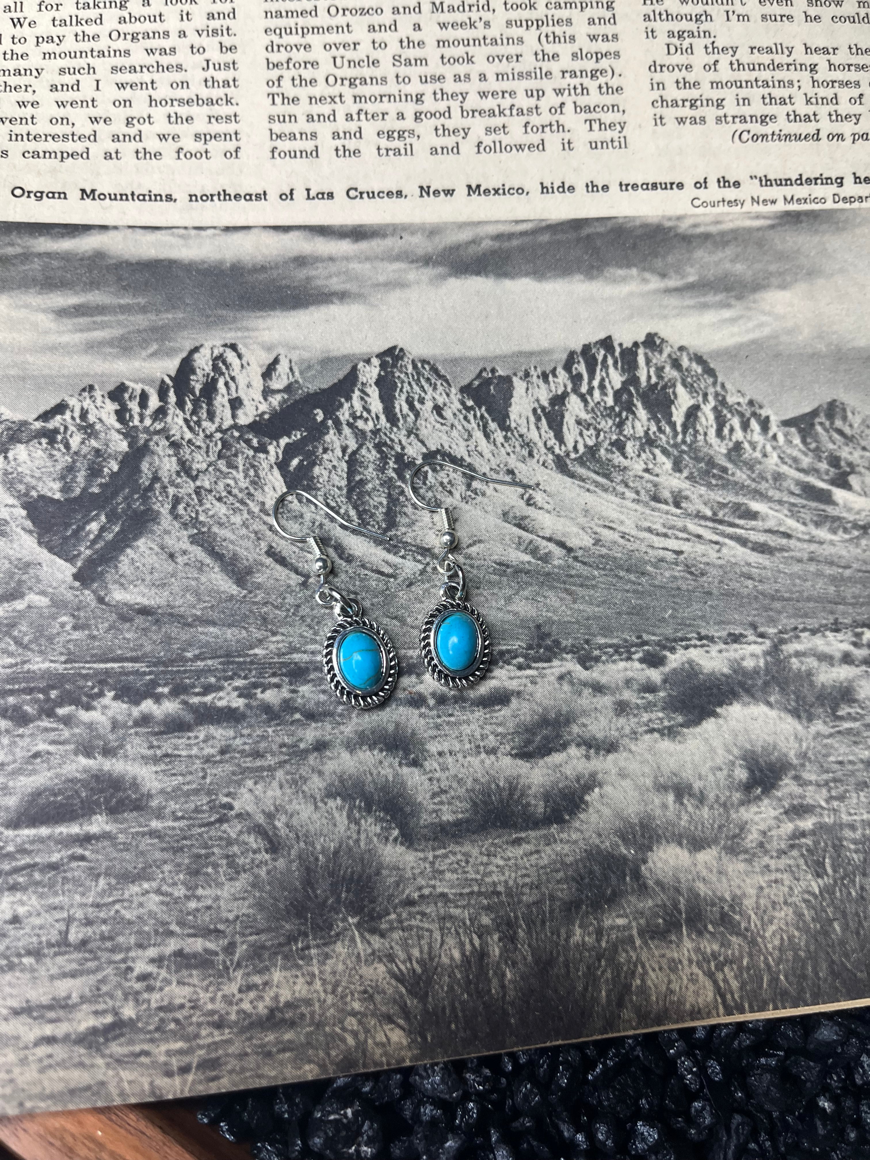 Faux Silver and Turquoise Small Oval Dangle Earrings