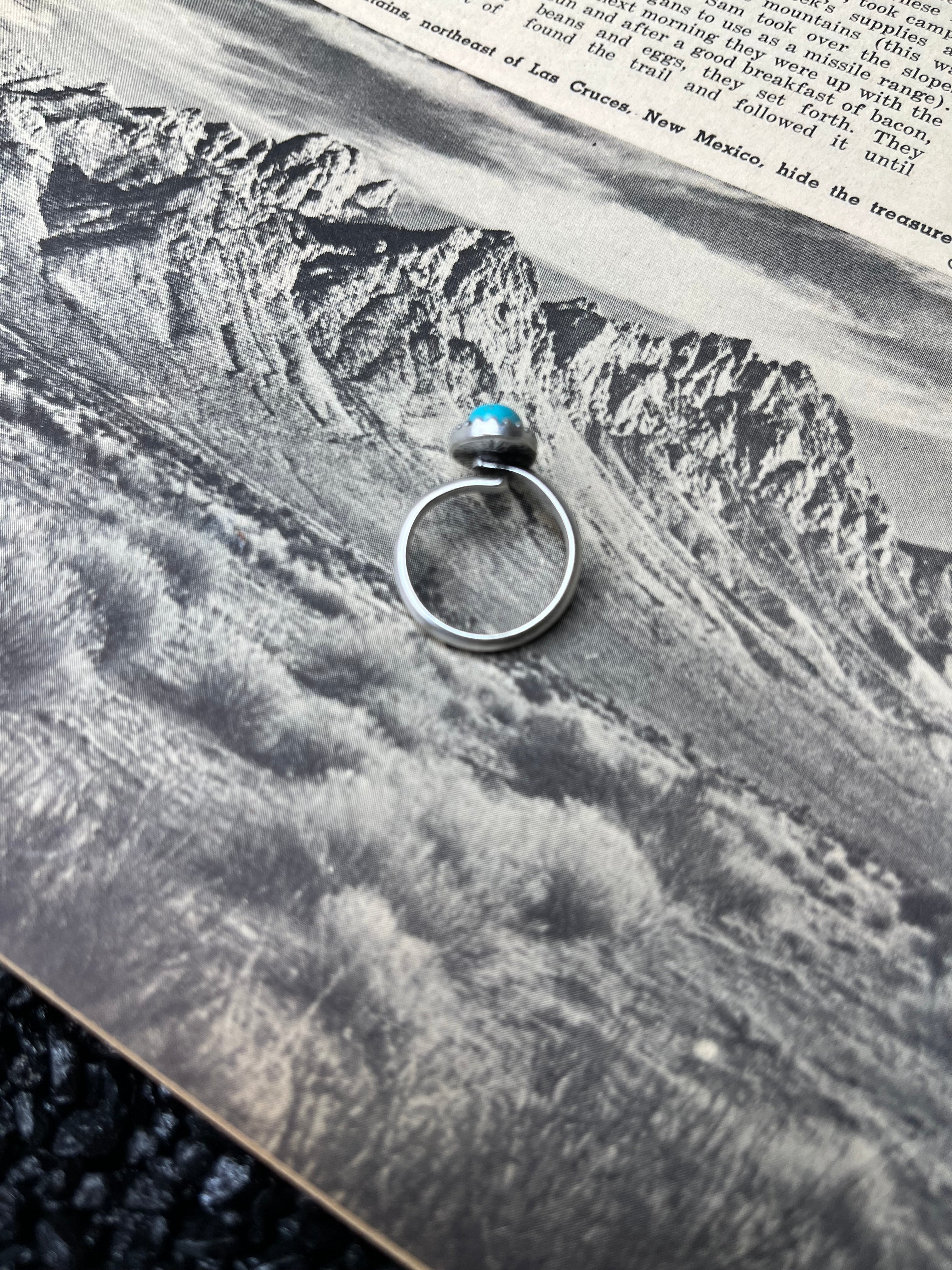 Faux Silver and Turquoise Adjustable Oval Ring