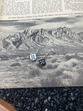 Black and White Dice Earrings