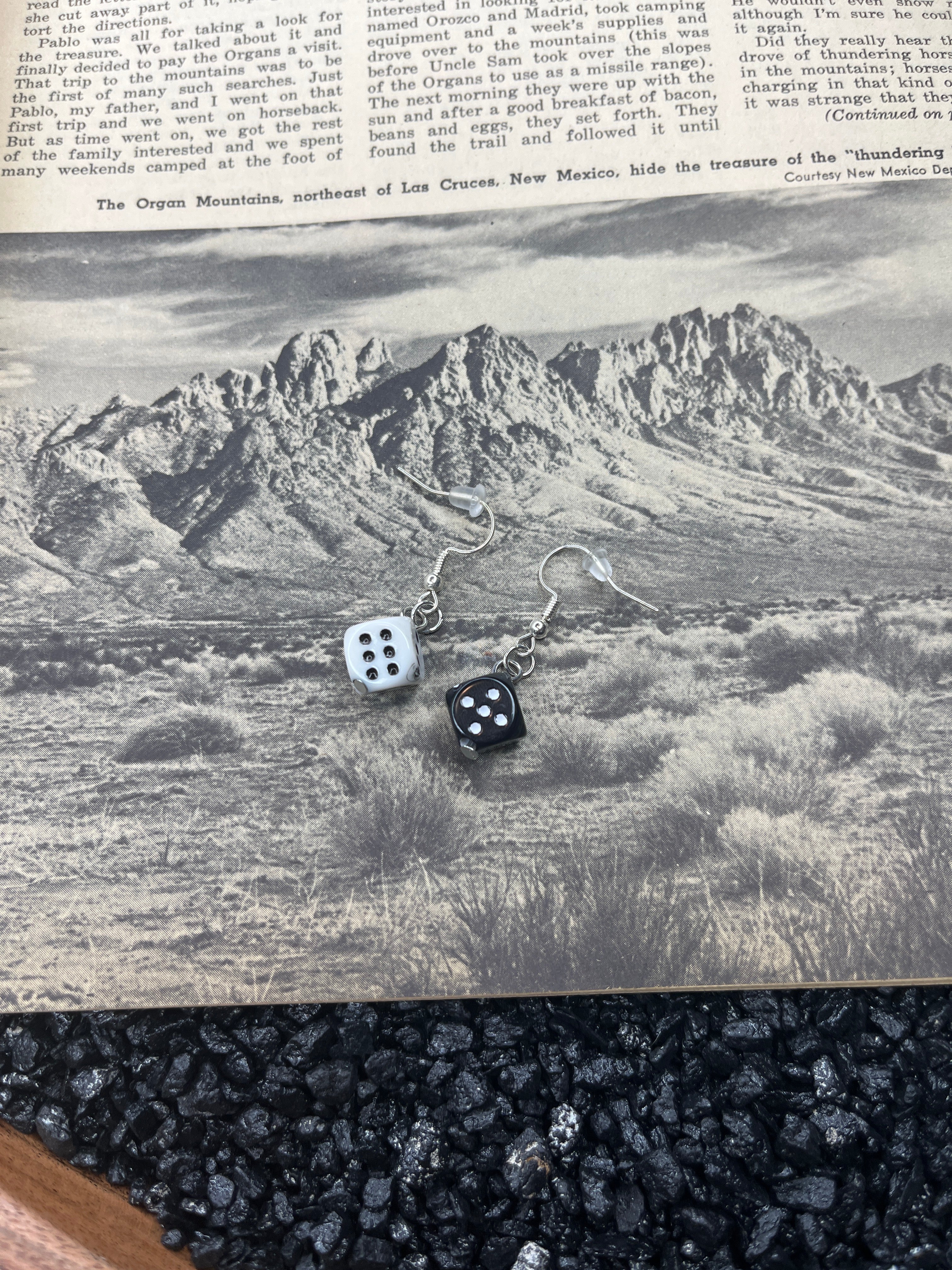 Black and White Dice Earrings