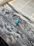 Faux Silver and Turquoise Cactus Ring