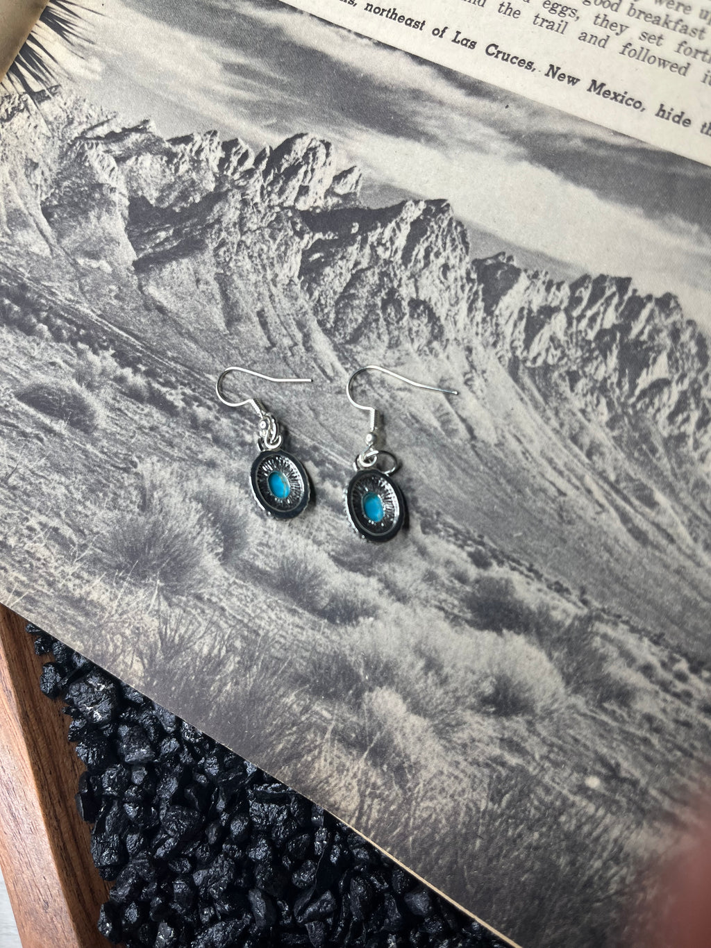 Faux Silver and Turquoise Small Oval Dangle Earrings