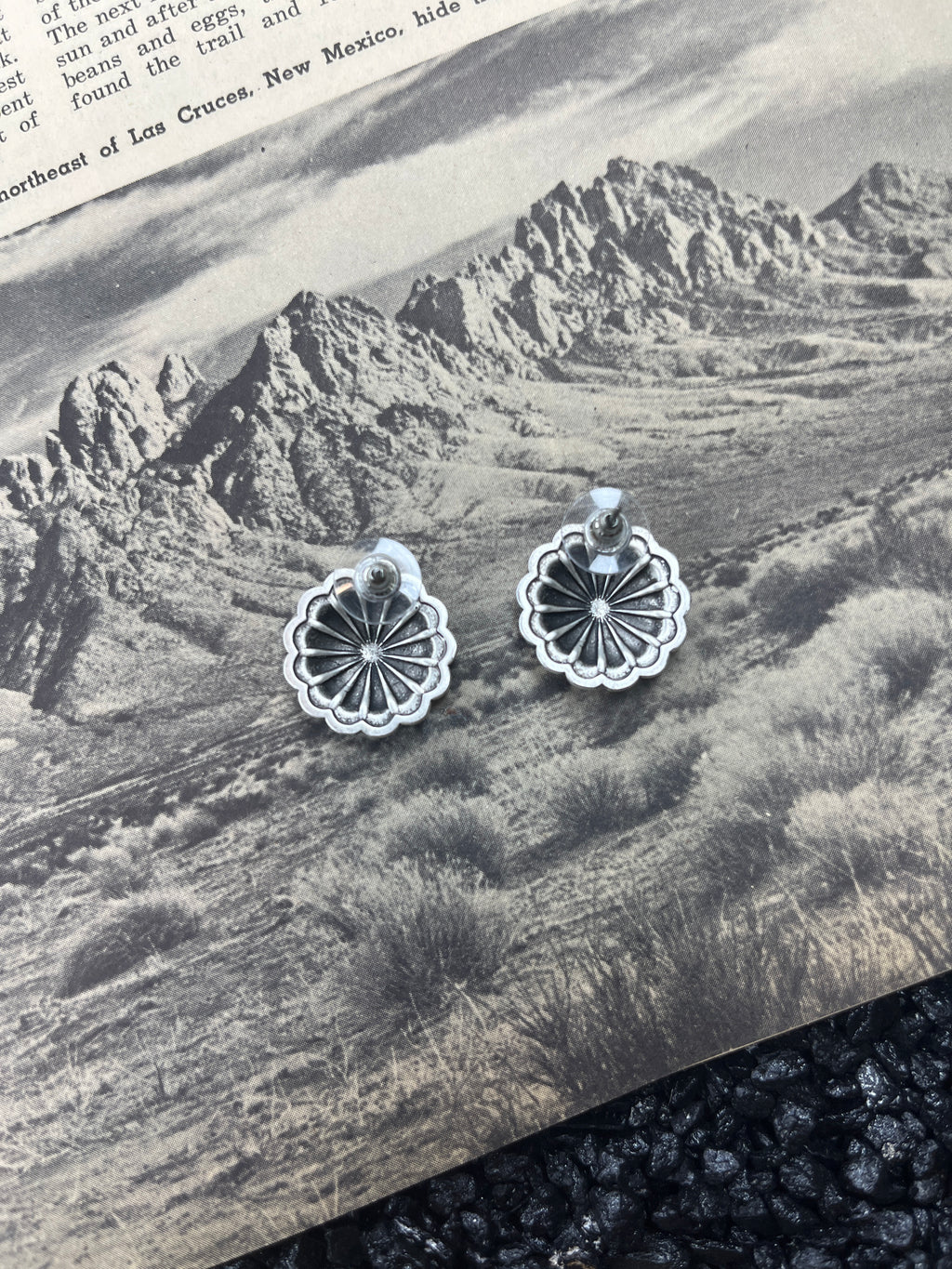 Faux Silver Concho Earrings