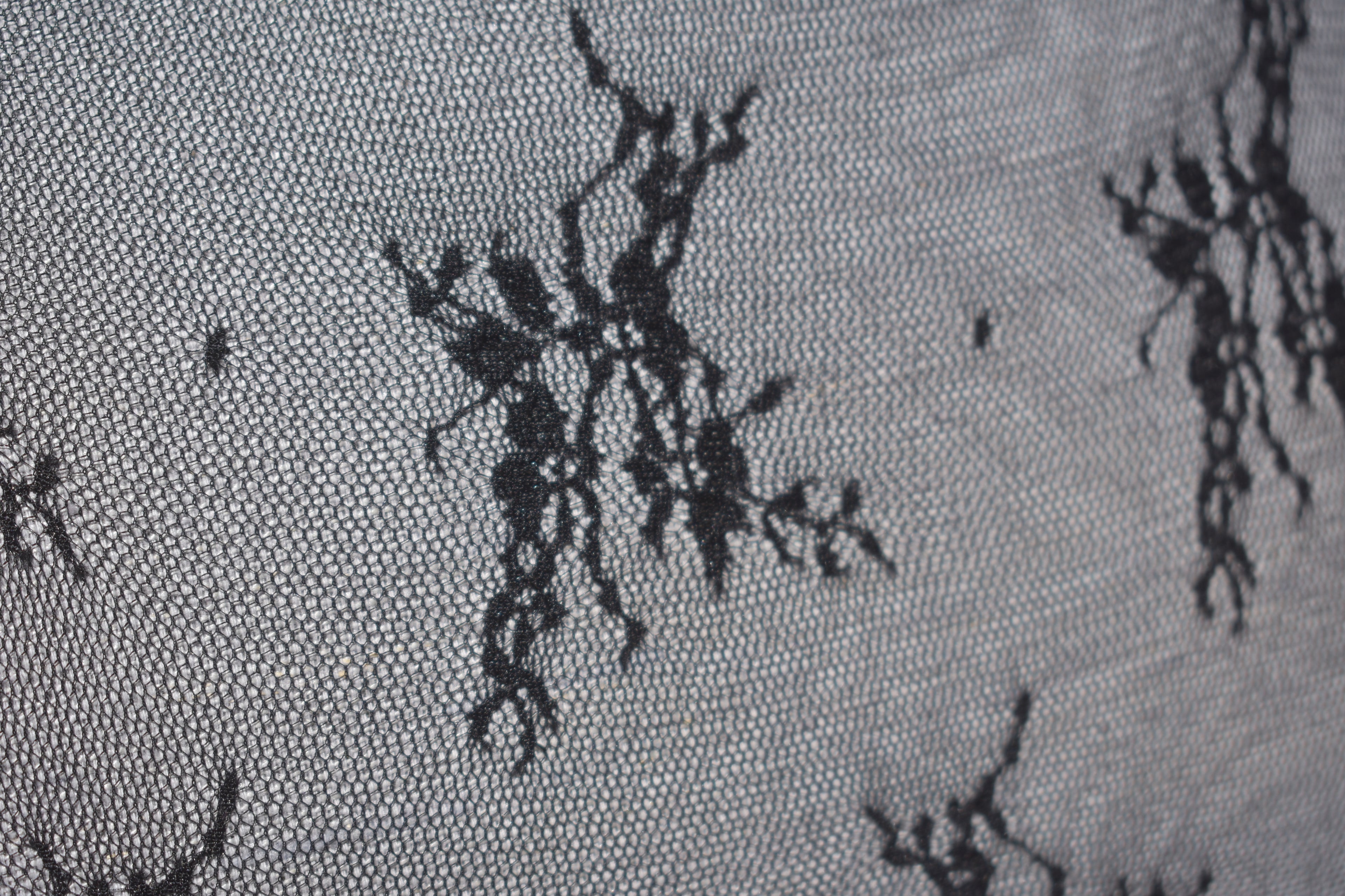 Black Lace Mesh Shirt